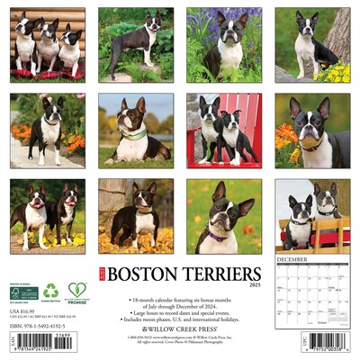2025 Willow Creek Boston Terriers 12" x 12" Monthly Wall Calendar, Multicolor (41925)