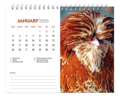 2026 BrownTrout Chickens 7.5" x 6" Monthly Desk Calendar (9798330702862)