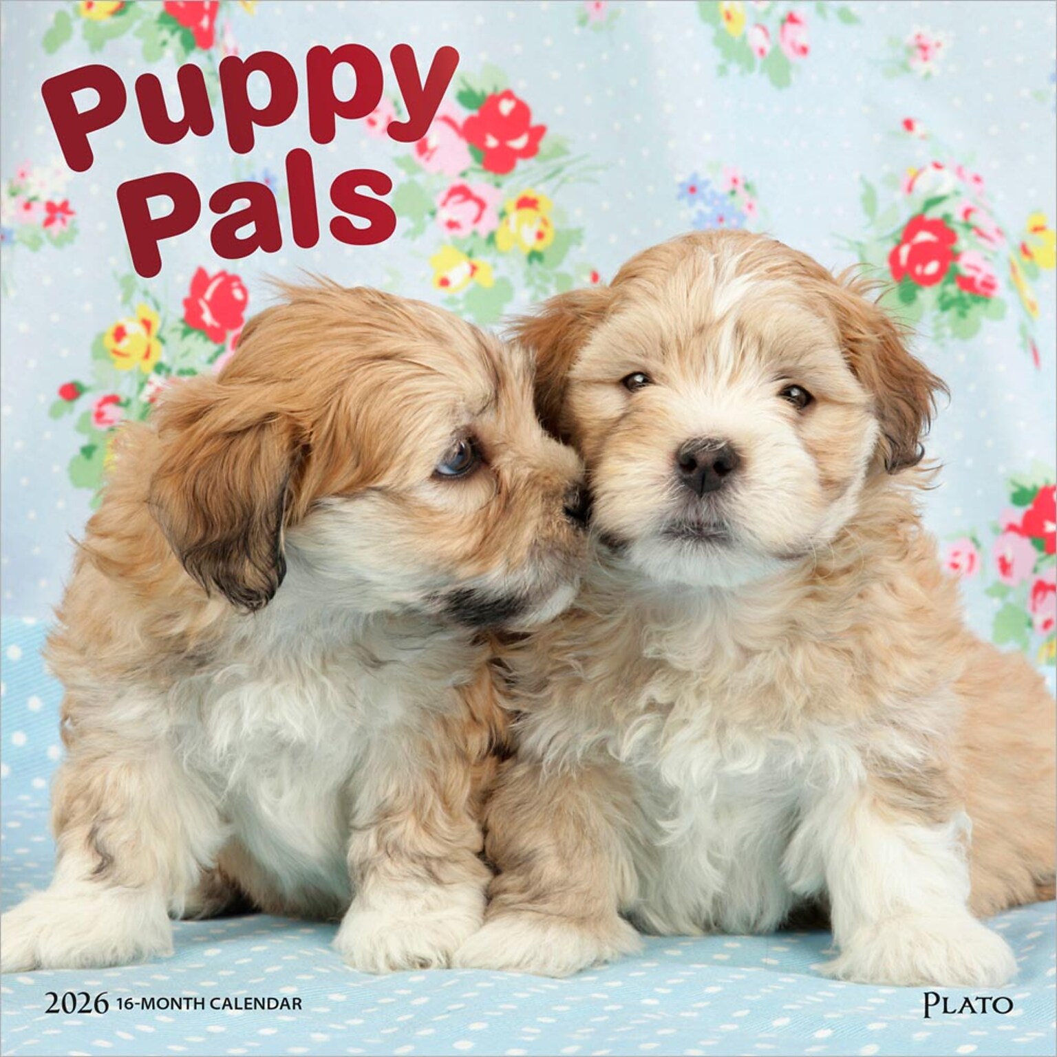 2026 Plato Puppy Pals 12 x 12 Monthly Wall Calendar (9798330706839)