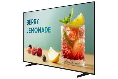 Samsung BEFX-H Series 50 Free Standing Television for Digital Signage (BE50FX-H)