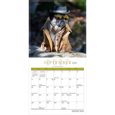 2027 BrownTrout Fantasy Pugs 7" x 7" Monthly Wall Calendar, Assorted Colors (9798330713219)