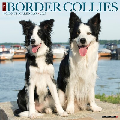 2027 Willow Creek Border Collies 12 x 12 Monthly Wall Calendar, Assorted Colors (59289)