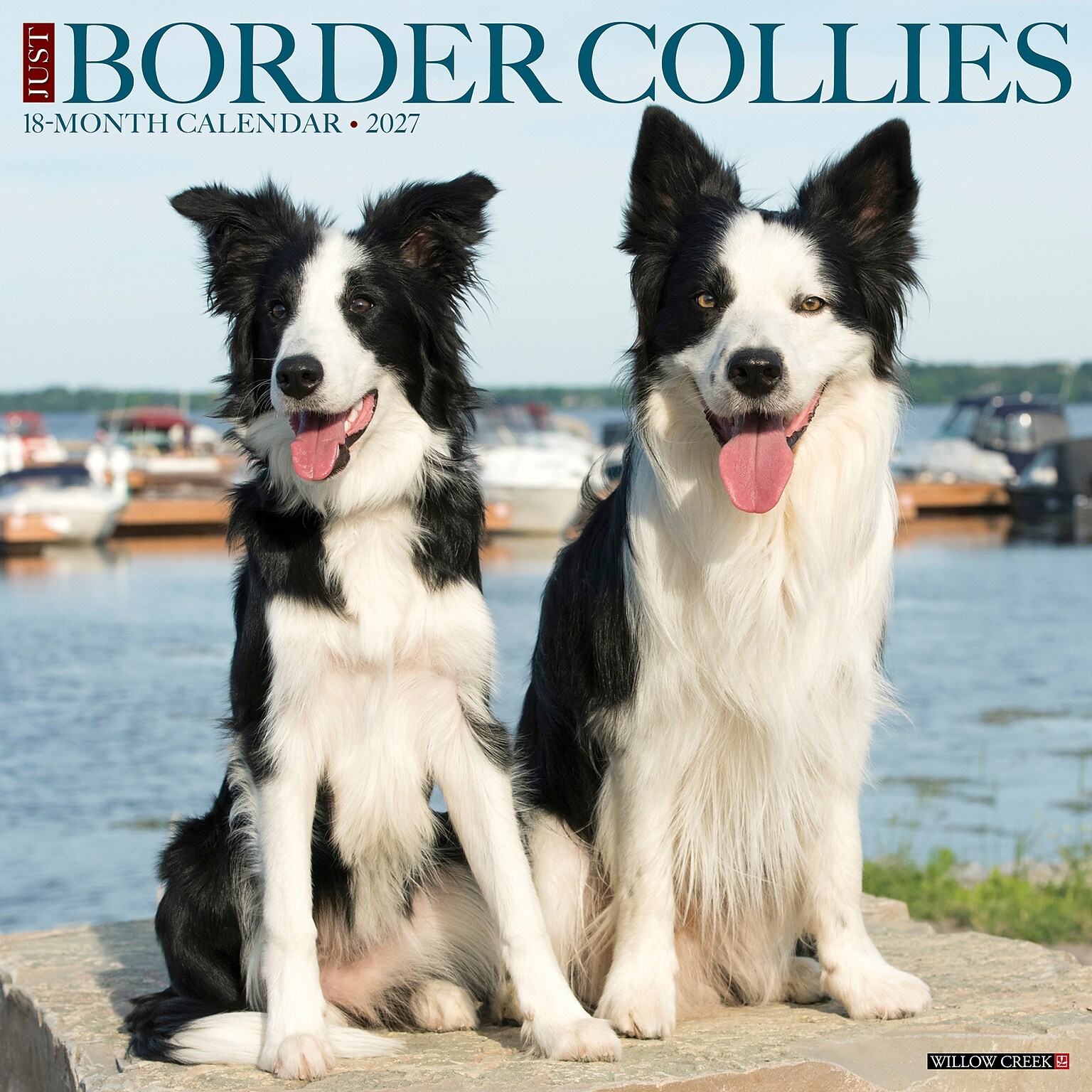 2027 Willow Creek Border Collies 12 x 12 Monthly Wall Calendar, Assorted Colors (59289)