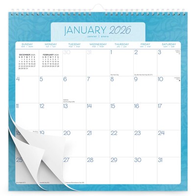 2026 BrownTrout Seaside Currents 12" x 12" Monthly Wall Calendar (9798330705498)