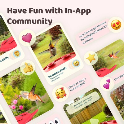 Birdfy Smart Hummingbird Feeder Ruby with Camera and AI by Subscription, Red (EPPAMBNI8902100)