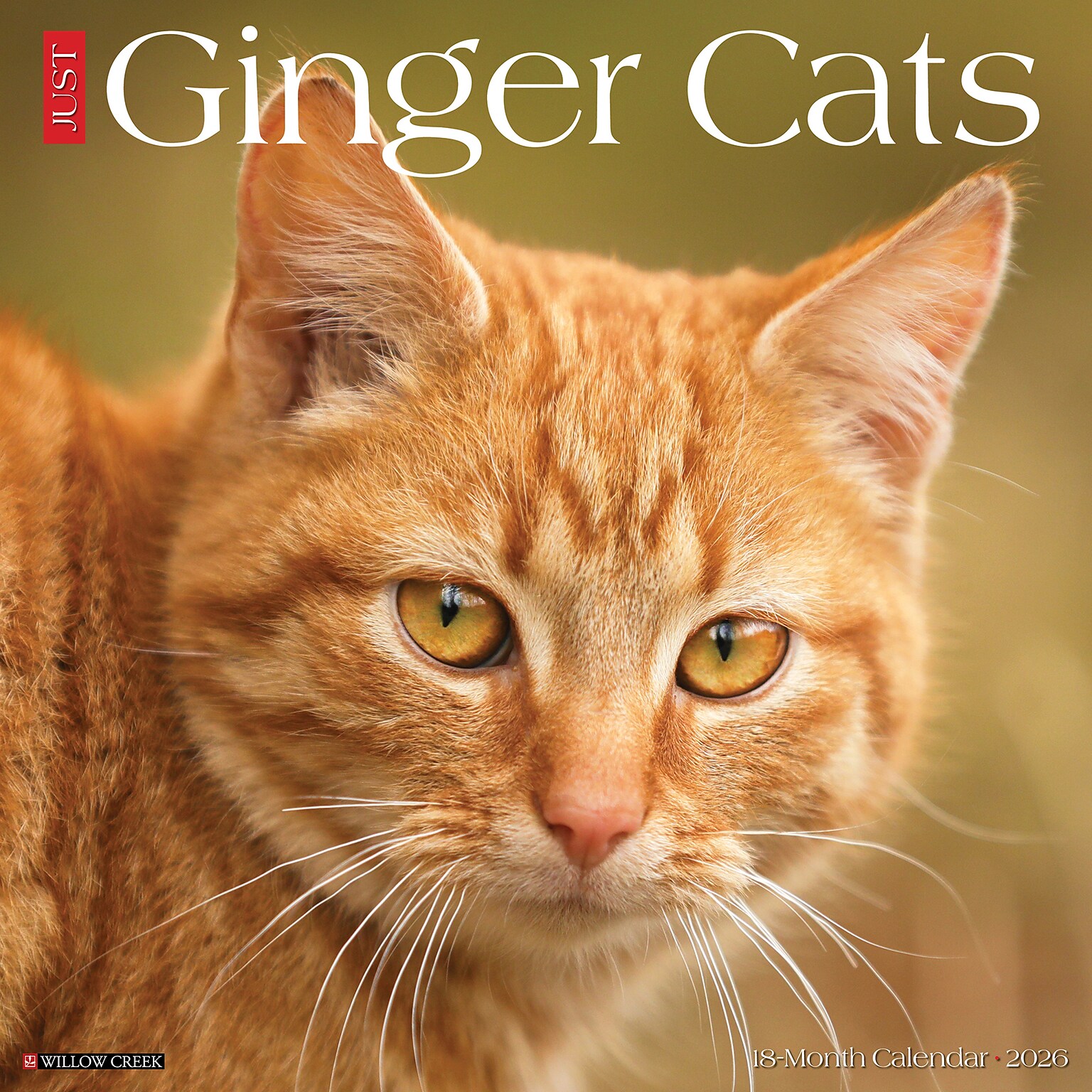 2026 Willow Creek Ginger Cats 12 x 12 Monthly Wall Calendar (51269)