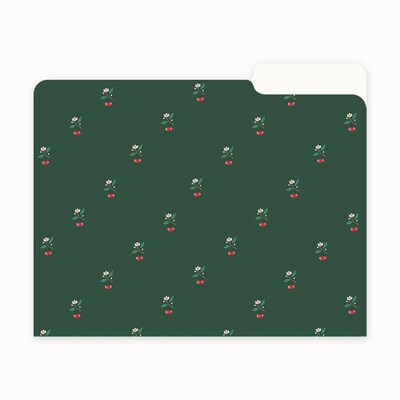 Blue Sky Bespoke File Folder, 1-Tab, Assorted, Letter Size, 6/Pack (155612)