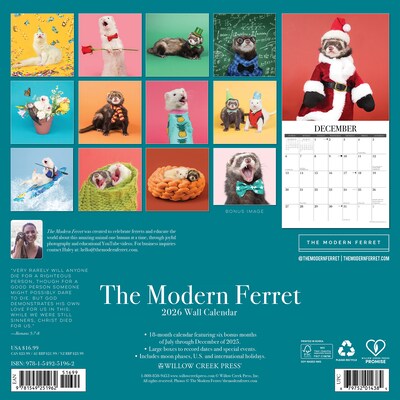 2026 Willow Creek Modern Ferret 12 x 12 Monthly Wall Calendar (51962)