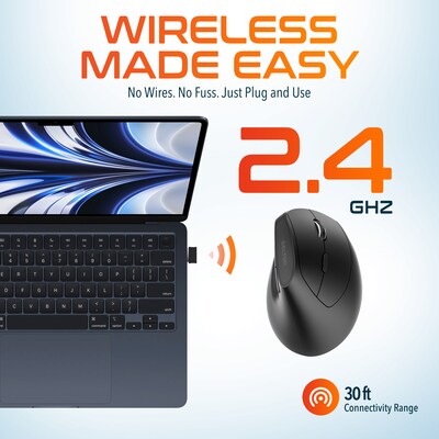 Delton S12P Wireless Ergonomic Vertical Optical Mouse, Black (DMERGS12P-WB)