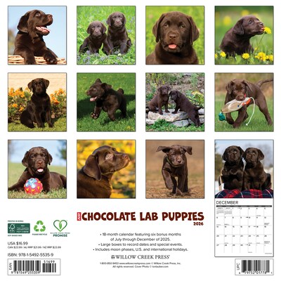 2026 Willow Creek Chocolate Lab Puppies 12 x 12 Monthly Wall Calendar (55359)