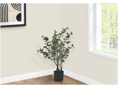 Monarch Specialties Inc. Eucalyptus in Pot (I 9562)