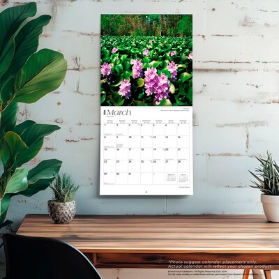 2026 BrownTrout Florida Nature 12" x 12" Monthly Wall Calendar (9798330703265)