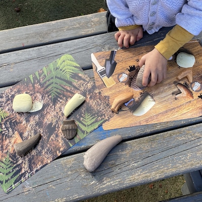 Yellow Door Prehistoric Teeth Explore and Discover Activity Cards, 16/Set (YUS1203)