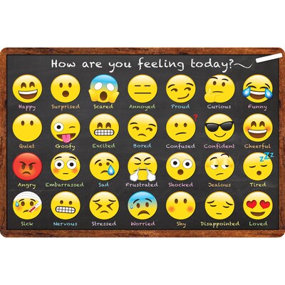 Ashley Smart Poly Computer Mouse Pad, 8 x 10, How are You Feeling, 6/Pack (ASH12507-6)