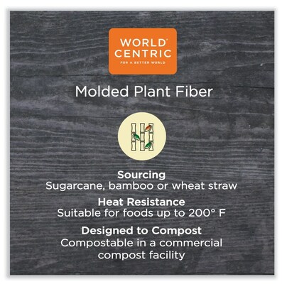 World Centric Fiber Hinged Container, 2-Compartment, Natural, 300/Carton (WORTOSCU8TLFP)