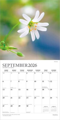 2026 Plato Simplicity 12" x 12" Monthly Wall Calendar (9798330706686)