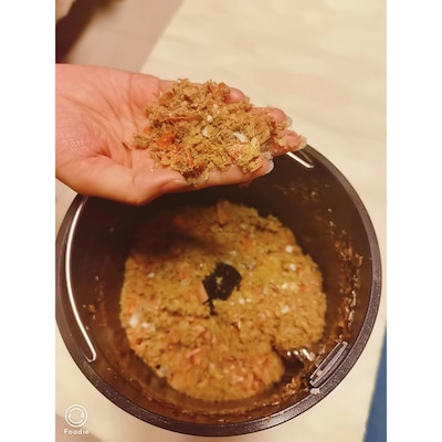 Nagual NA2 0.66 Gallon Indoor Kitchen Smart Electric Composter, Gray (B0D22PN4ZJ)