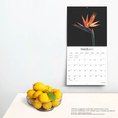 2025 Brush Dance In the Garden 12" x 12" Monthly Wall Calendar (9781975478568)