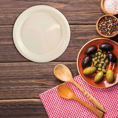 JAM Paper 9 Plastic Plates, Ivory, 60/Pack (9255320683g)