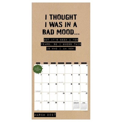 2027 TF Publishing Anti-Affirmations 12" x 12" Monthly Wall Calendar, Multicolored (27-1100)