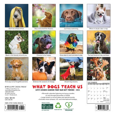 2025 Willow Creek What Dogs Teach Us 7 x 7 Monthly Wall Calendar (46029)