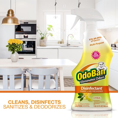 OdoBan Air Freshener & Deodorizer Spray, Citrus Scent, 32 oz. (910601-Q6)
