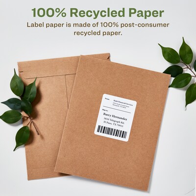 Avery EcoFriendly Laser/Inkjet Shipping Labels, 3-1/3" x 4", White, 600 Labels/Box (48464)