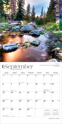 2026 BrownTrout Nevada Wild & Scenic 12" x 12" Monthly Wall Calendar (9798330704828)
