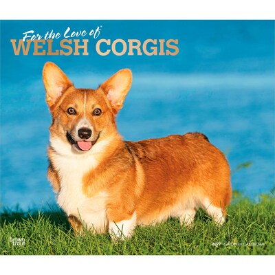 2027 BrownTrout For the Love of Welsh Corgis 14 x 12 Monthly Wall Calendar, Assorted Colors (9798330714698)