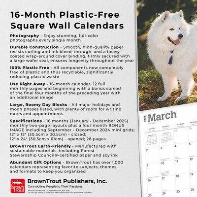2025 BrownTrout Samoyeds 12" x 12" Monthly Square Wall Calendar (9781975477660)