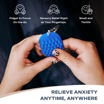 Hedgehog Technology LLC Fidget Keychain, Blue (HHG758524BLKEY)