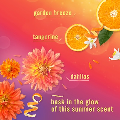 Febreze Luxe Air Freshener Spray, Summer Golden Hour Scent, 8.1 oz, 2/Pack (22745)