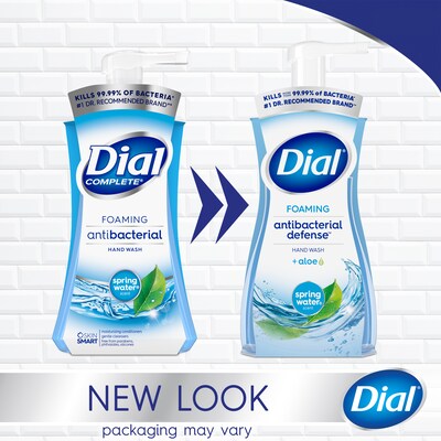 Dial Antibacterial Foaming Hand Soap, Spring Water Scent, 8/Carton (017000347394)