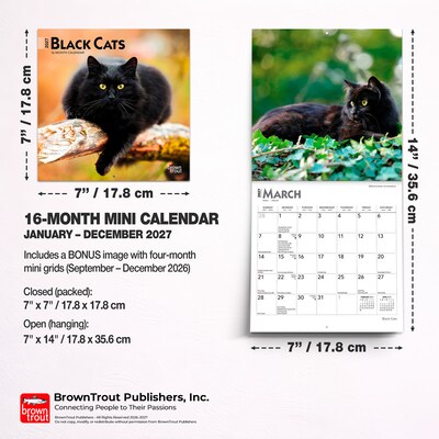 2027 BrownTrout Black Cats 7" x 7" Monthly Wall Calendar, Assorted Colors (9798330709700)