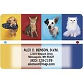 Medical Arts Press® 2x3 Glossy Full-Color Veterinary Magnets; 2 Dogs 2 Cats