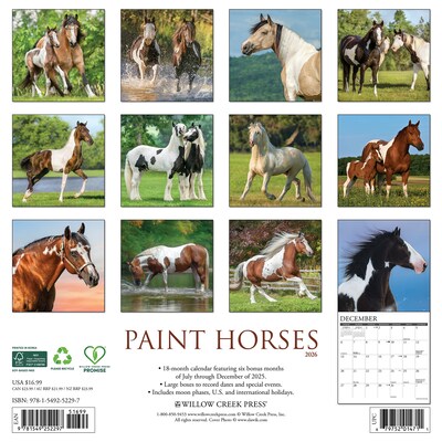 2026 Willow Creek Paint Horses 12 x 12 Monthly Wall Calendar (52297)