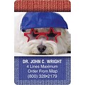 Medical Arts Press® 2x3 Glossy Full-Color Eye Care Magnets; Dog with Star Glasses