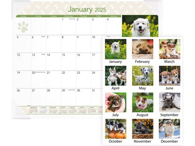 2025 AT-A-GLANCE Puppies 21.75" x 17" Monthly Desk Pad Calendar (DMD166-32-25)
