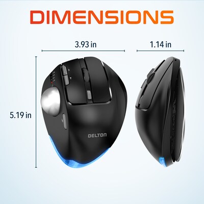 Delton T100 Wireless Ergonomic Trackball USB Mouse, Black (DMST100-WB)