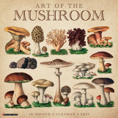 2027 Willow Creek Art of the Mushroom 12 x 12 Monthly Wall Calendar, Assorted Colors (58848)