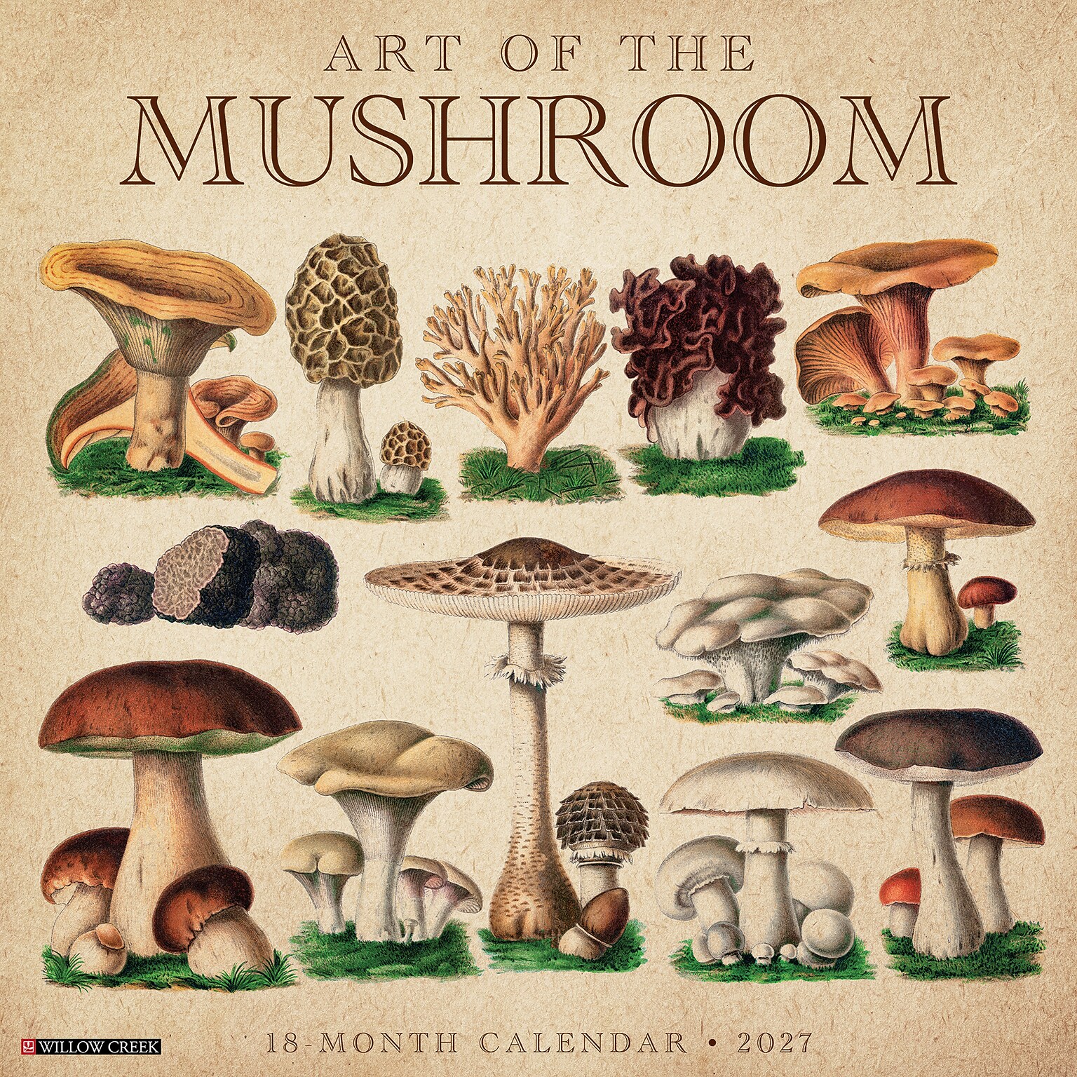 2027 Willow Creek Art of the Mushroom 12 x 12 Monthly Wall Calendar, Assorted Colors (58848)