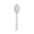 Eco-Products Cutlerease Compostable Tea Spoons, Medium-Weight, White, 960 Pieces/Carton (EP-CE6SPWHT