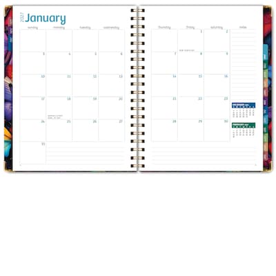 2027 Excello Brands 9" x 11" Weekly & Monthly Standard Planner, Paperboard Cover, Colorful Butterflies (FSHN-CY27-8511-58)