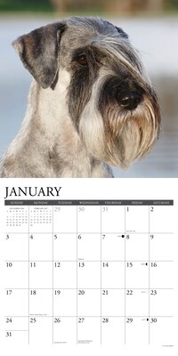 2027 Willow Creek Multi 12" x 12" Monthly Wall Calendar, Assorted Colors (62180)