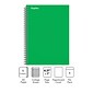 Staples Premium 1-Subject Notebook, 4.38 x 7, College Ruled, 80 Sheets, Reissue Green (TR58350)
