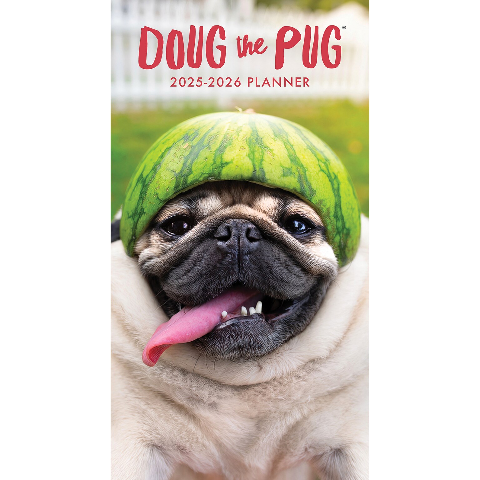 2025-2026 Willow Creek Doug the Pug 3.5 x 6.5 Calendar Year Daily & Monthly Planner Cover, Multicolor (46968)