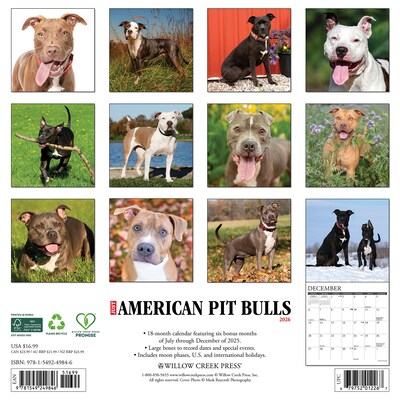 2026 Willow Creek American Pit Bull Terriers 12 x 12 Monthly Wall Calendar (49846)