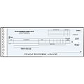 Delforms® One-Write Payroll General Expense Check Refills; 250 with Duplicates