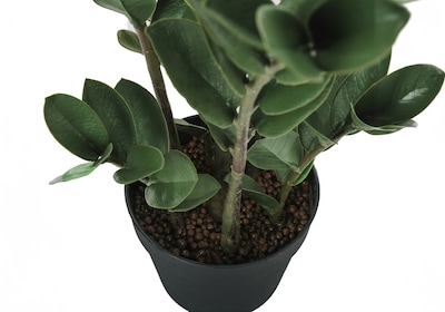 Monarch Specialties Inc. 29" Artificial ZZ Tree in Pot (I 9506)