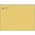 Custom-printed Catalog Envelopes; Brown 10x13 Gummed Closure, 500/Box